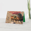 Recherche de turtle vœux cartes Coloré