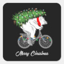Search for bear on bike stickers Cycling