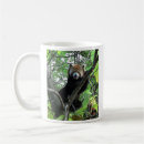 Recherche de mustelid tasses Faune