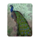 Recherche de oiseaux exotiques magnets Faune