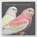 Recherche de perruches dessous de verres Perroquet