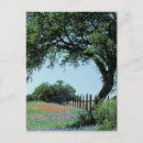Recherche de country postcards Campagne