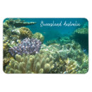 Search for queensland Cairns