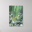 Recherche de objet naturel art Vue en gros plan