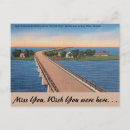 Recherche de pigeon cartes postales Floride