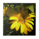 Search for bee tiles Sunflowers