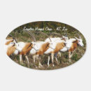 Search for savanna stickers Wildlife