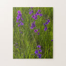 Recherche de champs puzzles Floral