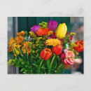 Recherche de bouquet roses cartes postales Printemps
