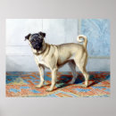 Search for dog breed posters Pug