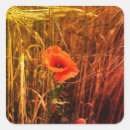 Search for grains stickers Thanksgiving