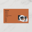 Recherche de chien border collie cartes visite Colley