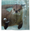 Search for otter shower curtains Animals