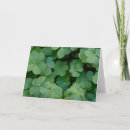 Search for three leaf clover cards Luck