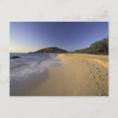 Search for makena postcards Beach