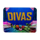 Search for diva magnets Party