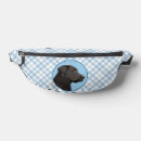 Recherche de black labrador accessories Chiot