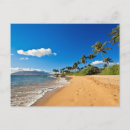 Recherche de cocotier cartes postales Paysage