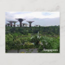 Search for gardens by the bay postcards Singapore