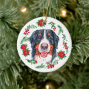Search for bernese mountain dog ornaments Merry christmas