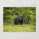 Search for wald postcards Forest