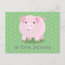 Search for pot belly pig postcards Cute