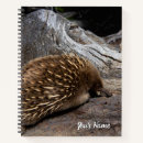 Search for echidna Wildlife
