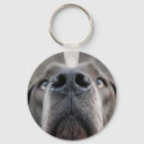 Recherche de dogge porteclés Dogue allemand