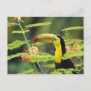 Search for westmorland postcards Colourful