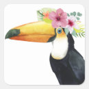 Search for toucan stickers Birds
