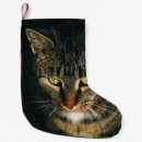 Search for photography christmas stockings Grey
