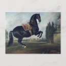 Recherche de cheval espagnol cartes postales Selle