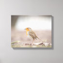 Search for robin wood posters Redbreast