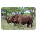 Recherche de rhinocéros magnets Safari
