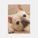 Search for animal head blankets Dog