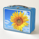 Search for bee bees lunch boxes Nature