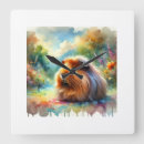 Search for guinea pig clocks Animals