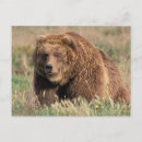 Recherche de environment cartes postales North america