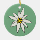 Search for edelweiss ornaments Flower