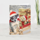 Search for australian cattle dog christmas cards Xmas
