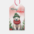 Search for funny christmas cartoons gift tags Polar bear