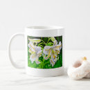 Search for asiatic mugs Flowers