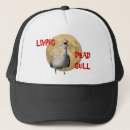 Search for gulls hats Seagull