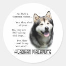 Recherche de malamute autocollants Dog