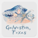 Search for galveston stickers Beach