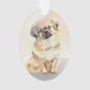 Search for tibetan spaniel ornaments Dog