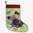 Recherche de puppys chaussette de noël Chiot