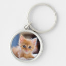 Search for blue eye keychains Domestic animals