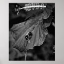 Search for flying bee art Pollen