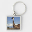 Search for emu keychains Animal